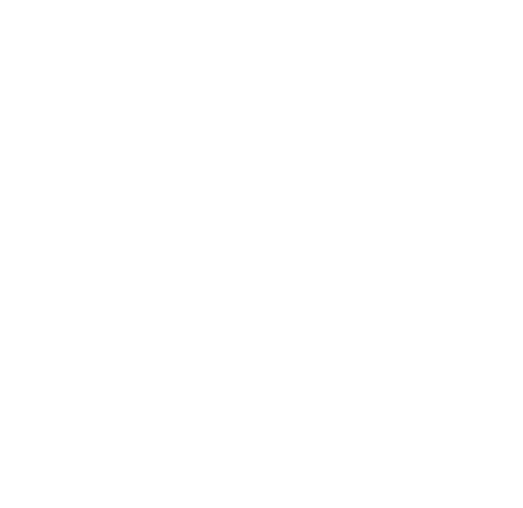bn-logo
